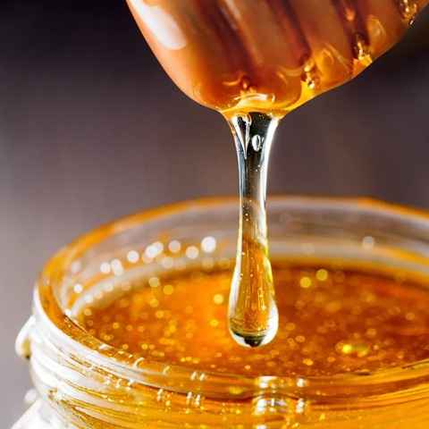 قیمت عسل طبیعی کوهستان + خرید باور نکردنی